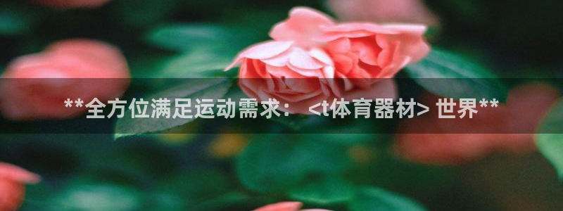 星欧娱乐挂机赚钱是真的吗：**全方位满足运动需求： 