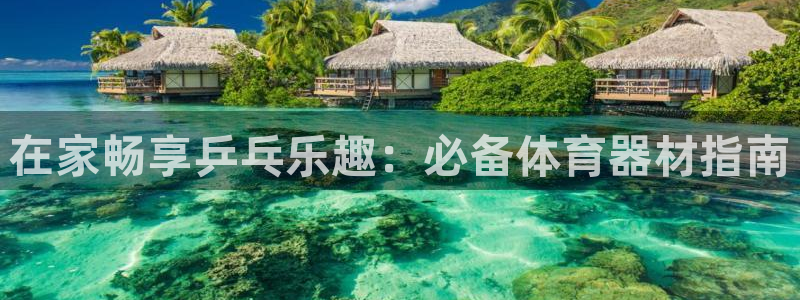 星欧娱乐扣款时间查询方法怎么查不了：在家畅享乒乓乐趣