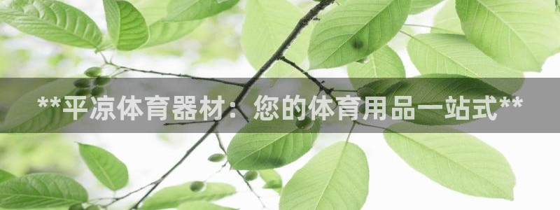 星欧娱乐官网首页下载：**平凉体育器材：您的体育用品