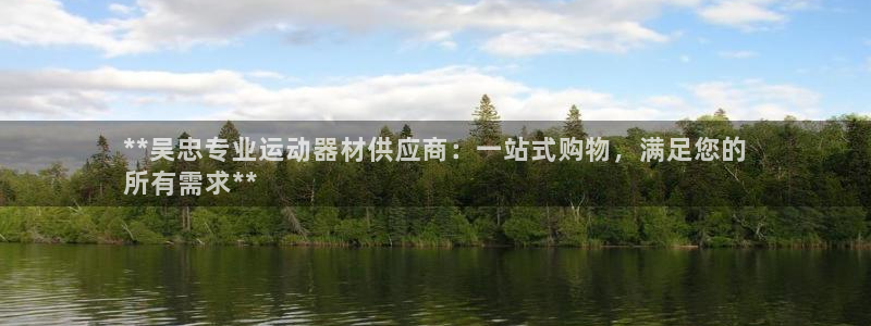 星欧娱乐公司创始人背景故事：**吴忠专业运动器材供应