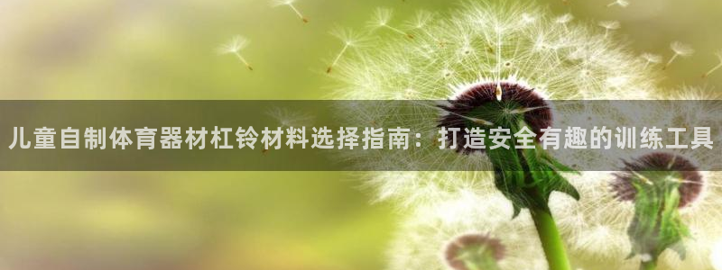 星欧娱乐方7O777：儿童自制体育器材杠铃材料选择指