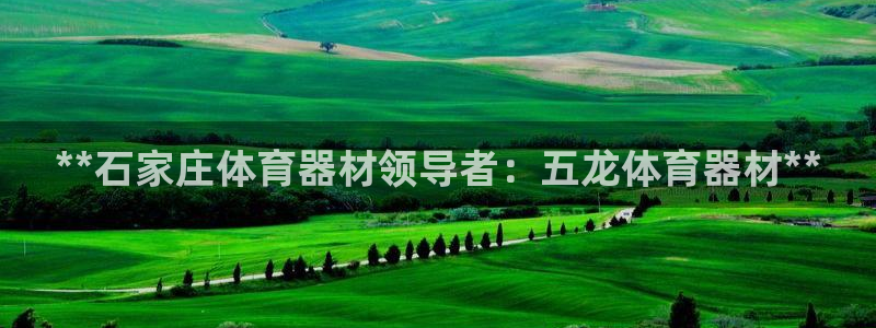 星欧娱乐挂机赚钱：**石家庄体育器材领导者：五龙体育