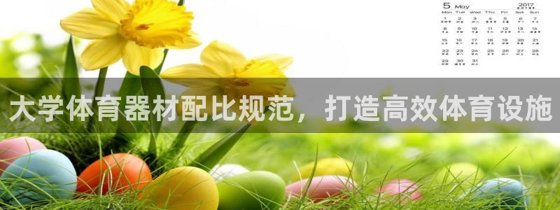 星欧娱乐扣款流程详解图：大学体育器材配比规范，打造高