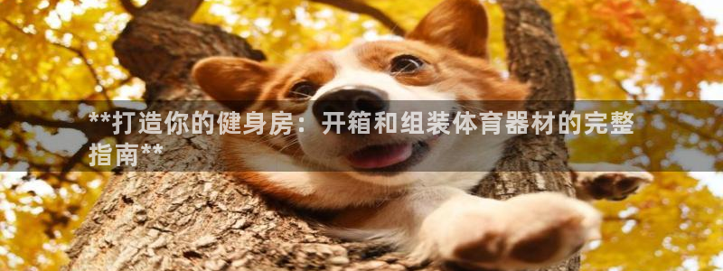 星欧娱乐测速：**打造你的健身房：开箱和组装体育器材