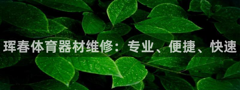 星欧娱乐银行卡怎么登录：珲春体育器材维修：专业、便捷