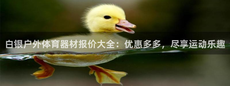星欧娱乐的官方版本更新内容有哪些：白银户外体育器材报