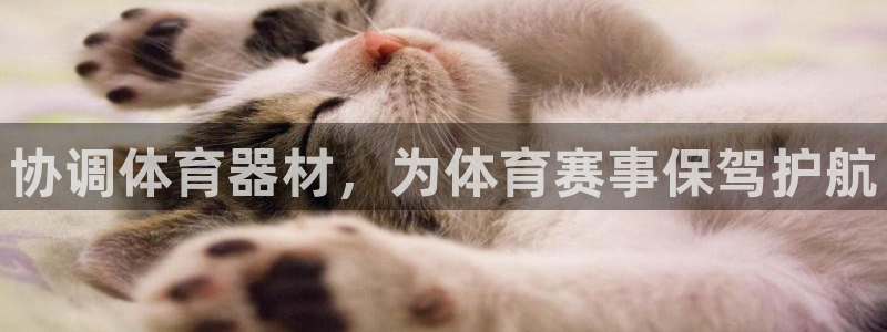 星奥娱乐集团股份有限公司招聘：协调体育器材，为体育赛