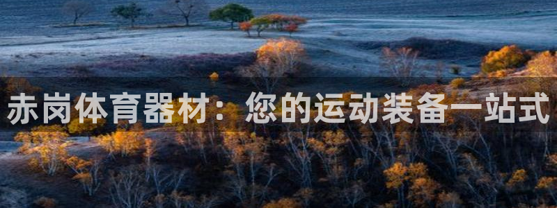 星欧娱乐的创始人背景故事简介：赤岗体育器材：您的运动