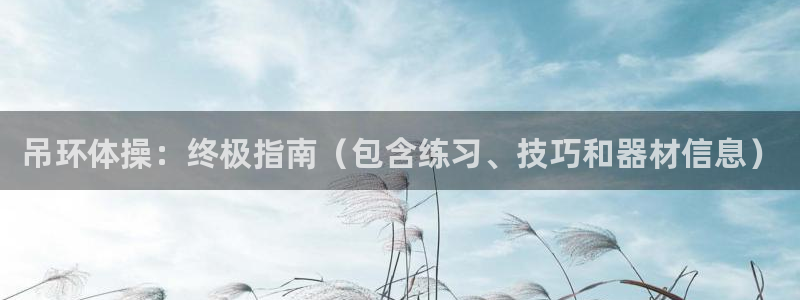 星欧娱乐属于什么档次的公司：吊环体操：终极指南（包含