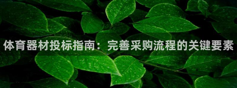 星欧娱乐的官方版本更新内容怎么删除：体育器材投标指南
