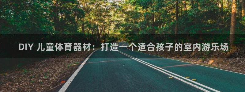 星欧娱乐扣款流程详解图片： DIY 儿童体育器材：打