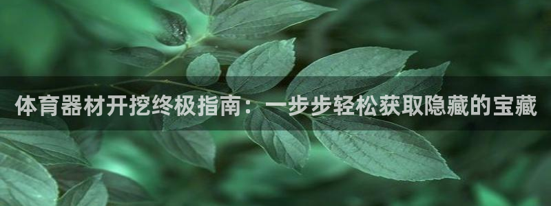 星欧娱乐扣款流程详解图高清：体育器材开挖终极指南：一