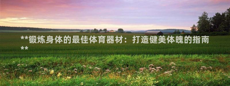 星澳娱乐公司简介：**锻炼身体的最佳体育器材：打造健