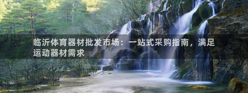 星欧娱乐工711.11是正规的吗：临沂体育器材批发市