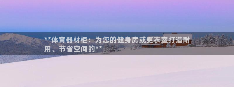 新星娱乐怎么开挂：**体育器材柜：为您的健身房或更衣