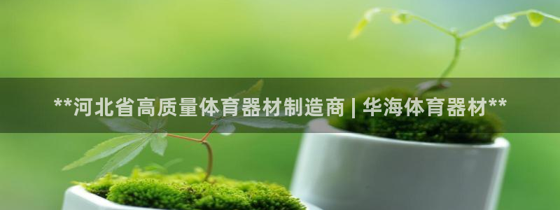 星欧娱乐平台：**河北省高质量体育器材制造商 | 华