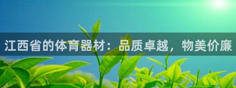 星欧娱乐扣款流程详解图片：江西省的体育器材：品质卓越