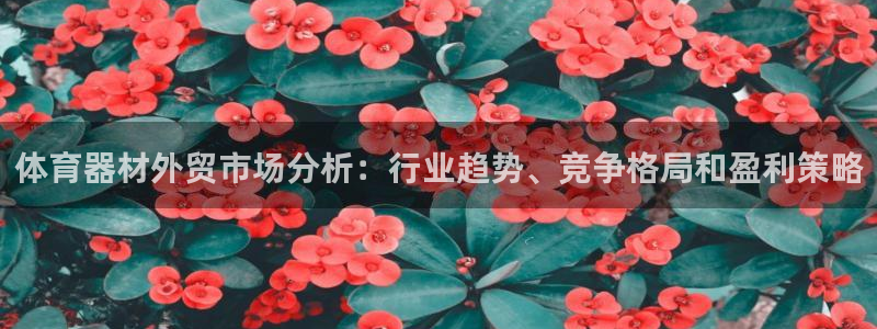 星娱乐包月业务是什么：体育器材外贸市场分析：行业趋势