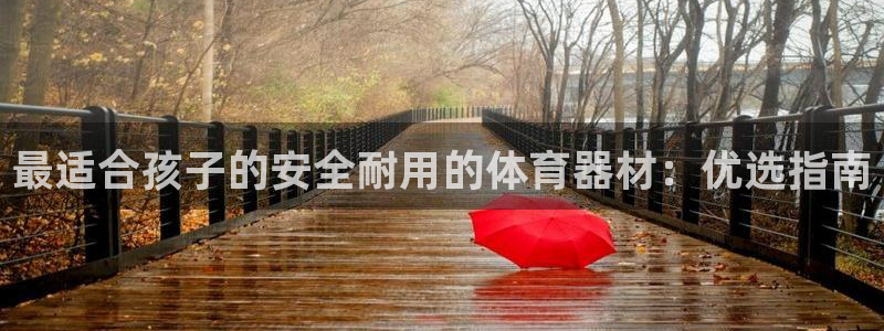 星欧娱乐测速软件下载：最适合孩子的安全耐用的体育器材