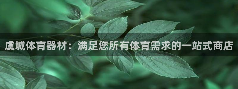 星欧娱乐平台测速线路怎么设置：虞城体育器材：满足您所