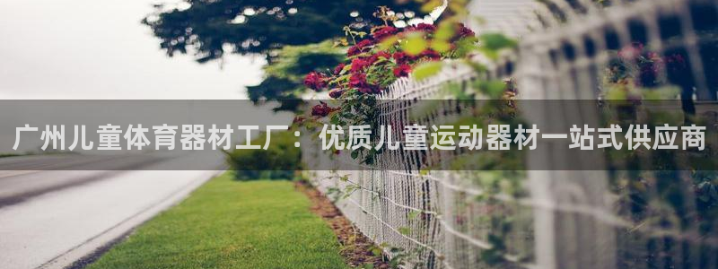 星欧娱乐的官方版本更新内容有哪些：广州儿童体育器材工