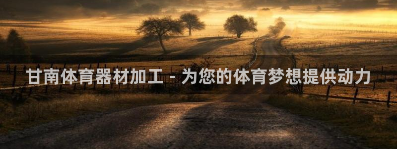 星欧娱乐属于什么档次的网站：甘南体育器材加工 - 为