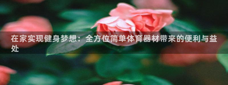 星欧娱乐最建议买的三个产品是什么：在家实现健身梦想：