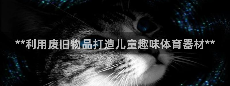 星欧娱乐平台测速线路：**利用废旧物品打造儿童趣味体