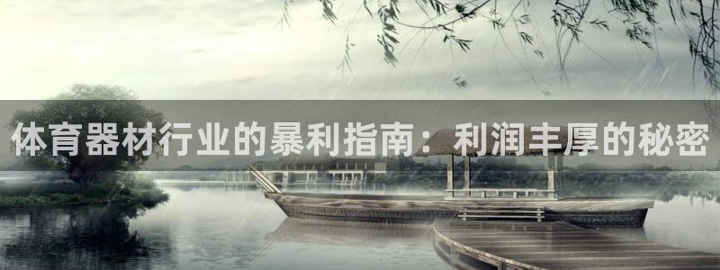 星欧娱乐法711.112扣费如何处理：体育器材行业的