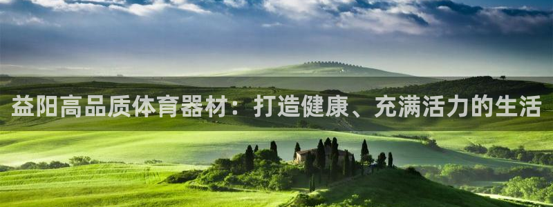 星欧娱乐属于什么档次的公司名称：益阳高品质体育器材：