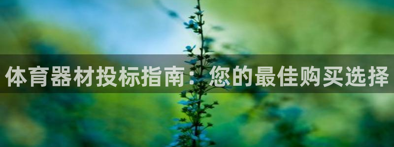 星娱乐online音乐：体育器材投标指南：您的最佳购
