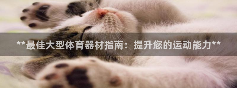 星娱乐包月是干嘛的：**最佳大型体育器材指南：提升您