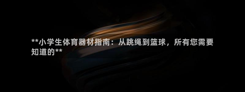 星欧娱乐扣款流程详解视频下载：**小学生体育器材指南