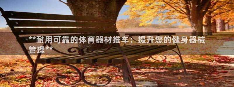 星娱乐online刘亦菲：**耐用可靠的体育器材推车