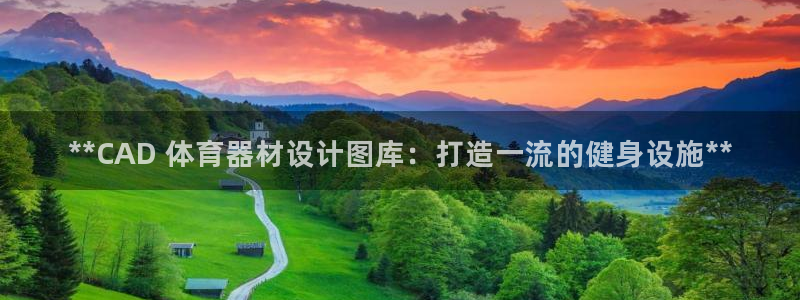 星欧娱乐扣费后解决方法：**CAD 体育器材设计图库