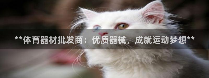 星奥娱乐集团股份有限公司：**体育器材批发商：优质器