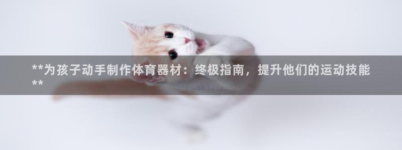 星欧娱乐用户名和密码：**为孩子动手制作体育器材：终