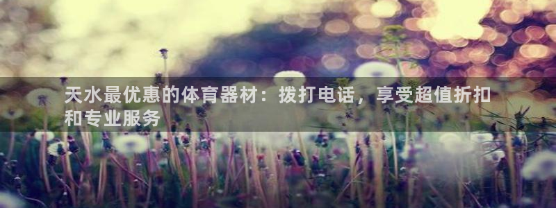 星欧娱乐属于什么档次的软件公司：天水最优惠的体育器材