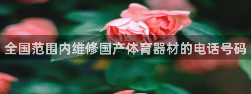 星欧娱乐扣费后解决方法：全国范围内维修国产体育器材的