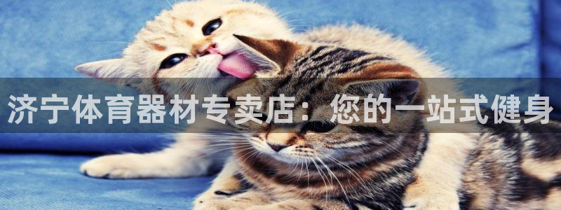 星欧娱乐挂机赚钱：济宁体育器材专卖店：您的一站式健身