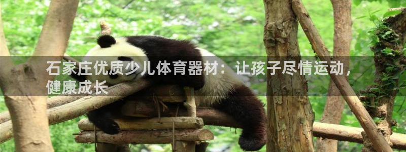 星娱乐文化传媒：石家庄优质少儿体育器材：让孩子尽情运