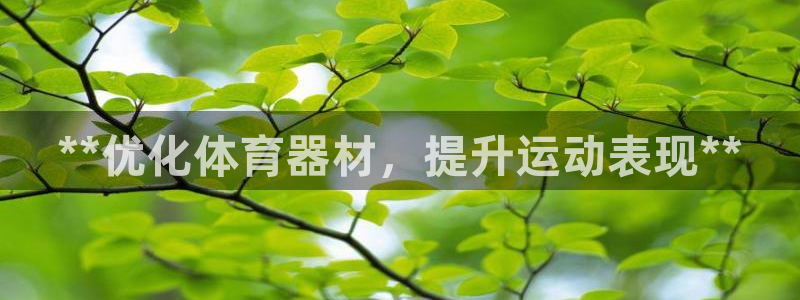 星欧娱乐扣款时间查询方法：**优化体育器材，提升运动