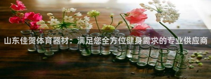 星欧娱乐联售后服务评价：山东佳贺体育器材：满足您全方