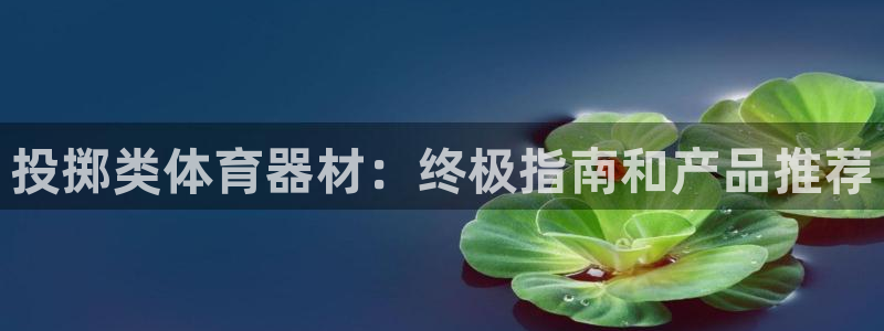 星娱乐文化传媒有限公司：投掷类体育器材：终极指南和产