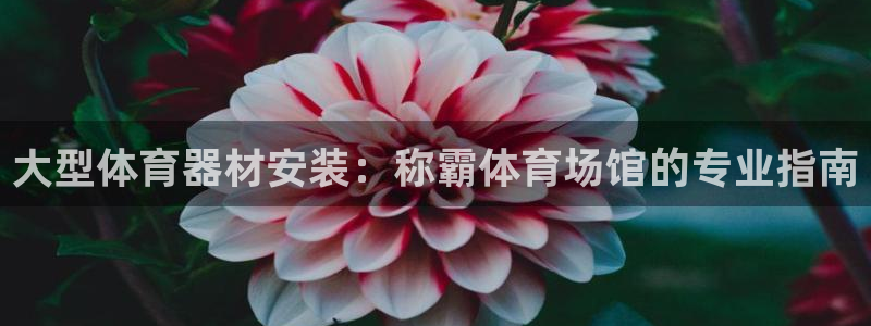 星欧娱乐挂机教程视频：大型体育器材安装：称霸体育场馆