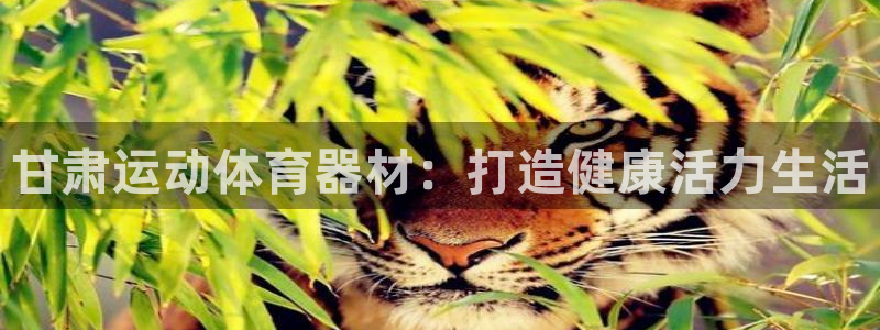 星欧娱乐扣款流程详解图片：甘肃运动体育器材：打造健康