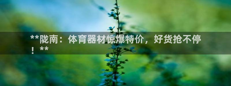 星欧娱乐扣款