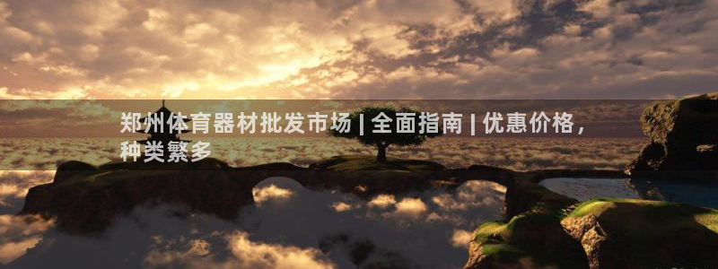 星乐娱乐：郑州体育器材批发市场 | 全面指南 | 优