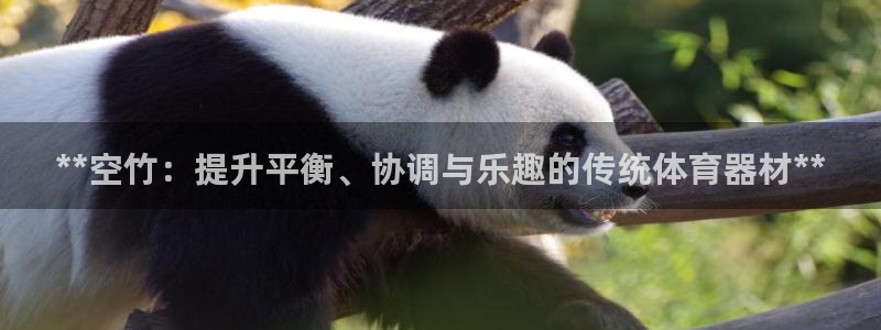 星欧娱乐法711.112不退款后果：**空竹：提升平