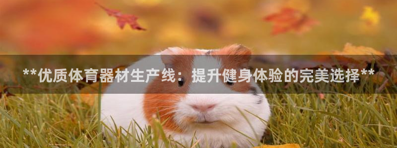星欧娱乐公司电话号码多少：**优质体育器材生产线：提